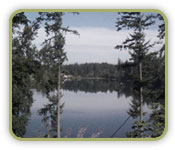 Maple Valley Branch